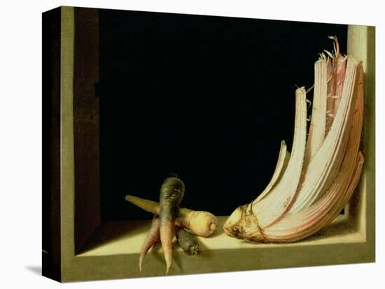 Still Life with a Cardoon-Juan Sanchez Cotan-Premier Image Canvas