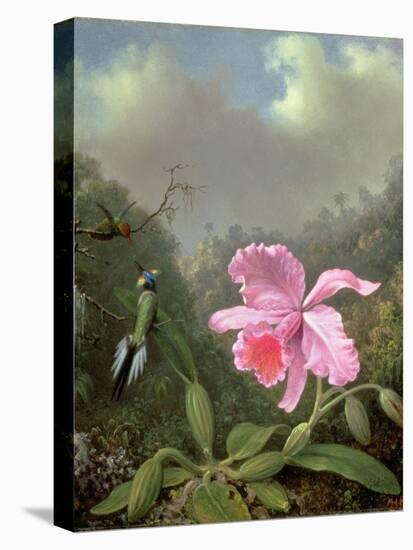 Still Life with an Orchid and a Pair of Hummingbirds, C.1890S-Martin Johnson Heade-Premier Image Canvas