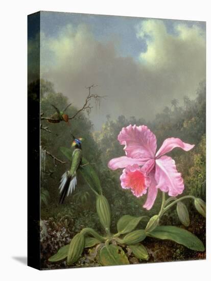 Still Life with an Orchid and a Pair of Hummingbirds, C.1890S-Martin Johnson Heade-Premier Image Canvas