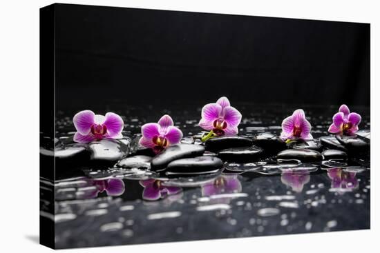 Still Life with Black Stone and Five Orchid-crystalfoto-Premier Image Canvas
