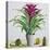 Still Life with Bromeliad-Christopher Ryland-Premier Image Canvas
