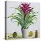 Still Life with Bromeliad-Christopher Ryland-Premier Image Canvas