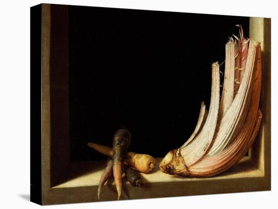 Still Life with Cardoon and Parsnips, 1604-Juan Sanchez Cotan-Premier Image Canvas