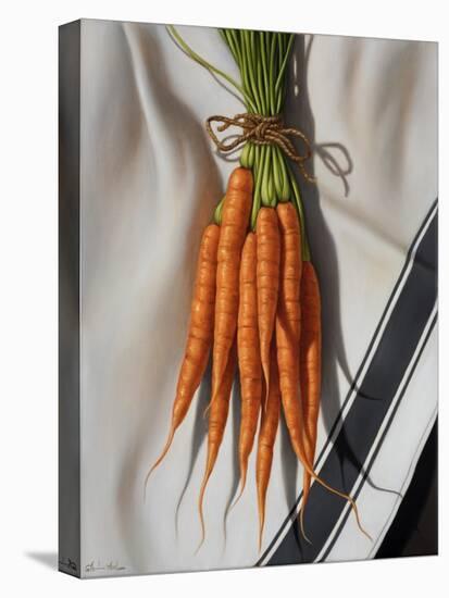 Still Life with Carrots-Catherine Abel-Premier Image Canvas