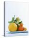 Still Life with Citrus Fruits-Armin Zogbaum-Premier Image Canvas