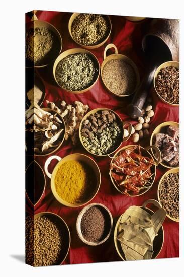 Still Life with Exotic Spices-Frederic Vasseur-Premier Image Canvas