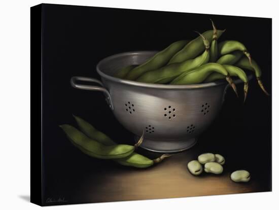 Still Life with Fava Beans-Catherine Abel-Premier Image Canvas