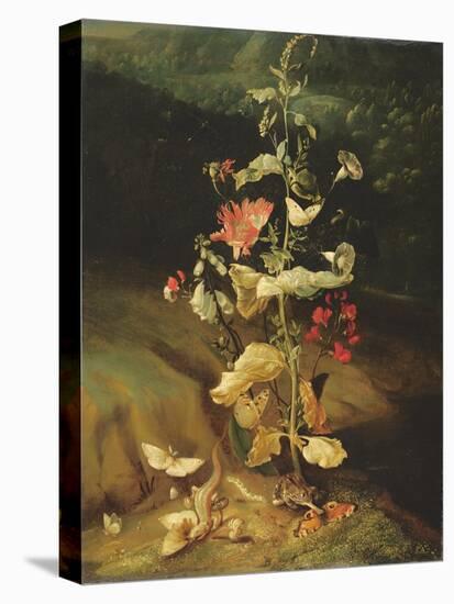 Still Life with Flowers-Otto Marseus Van Schrieck-Premier Image Canvas