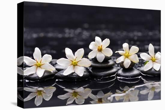 Still Life with Four Gardenia with Therapy Stones-crystalfoto-Premier Image Canvas