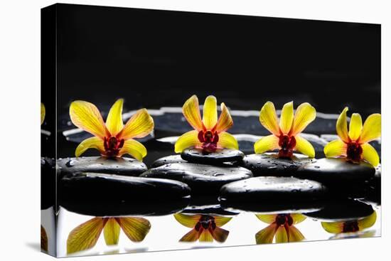 Still Life with Four Orchid with Stones on Water Drops-crystalfoto-Premier Image Canvas