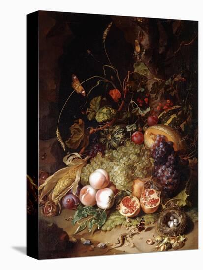 Still-Life with Fruit and Insects-Rachel Ruysch-Premier Image Canvas