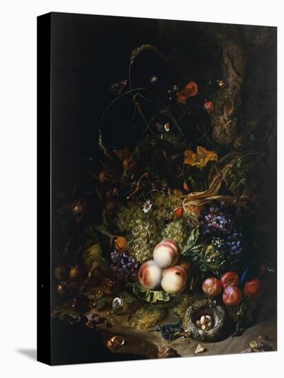 Still Life with Fruit, Flowers, Reptiles and Insects-Rachel Ruysch-Premier Image Canvas