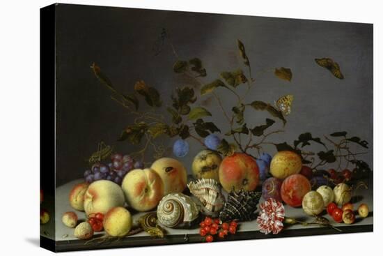 Still Life with Fruits-Balthasar van der Ast-Premier Image Canvas