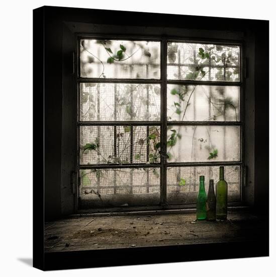 Still-Life with Glass Bottle-Vito Guarino-Premier Image Canvas