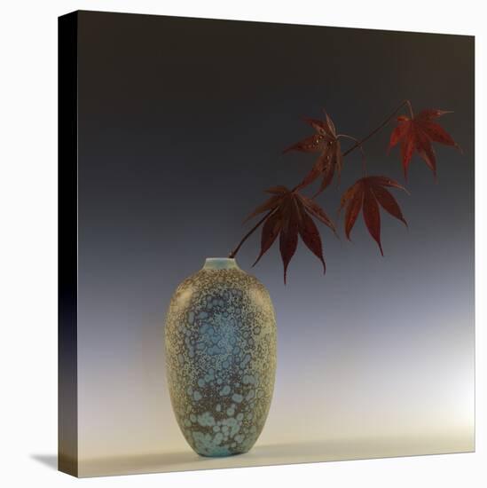 Still Life with Japanese Maple and Raindrops-Geoffrey Ansel Agrons-Stretched Canvas