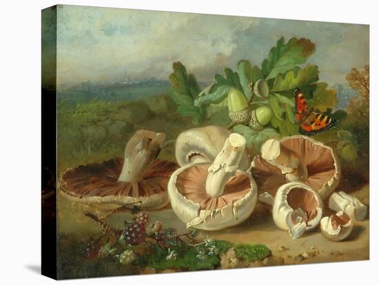 Still Life With Mushrooms Etc., 1859-null-Premier Image Canvas