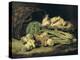 Still Life with Mushrooms-Jan Fyt-Premier Image Canvas