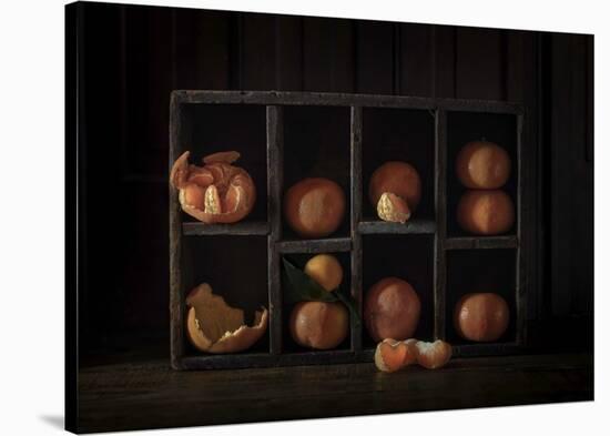 Still Life With Oranges-Heather Bonadio-Stretched Canvas