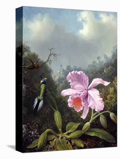 Still Life with Orchid and Pair of Hummingbirds, C.1890S-Martin Johnson Heade-Premier Image Canvas
