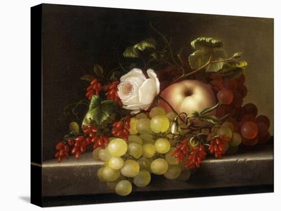 Still Life with Peach, Grapes and Rosehips, 1865-Adelheid Dietrich-Premier Image Canvas