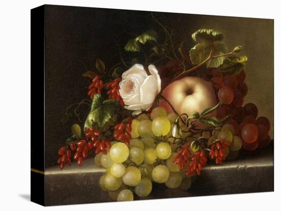 Still Life with Peach, Grapes and Rosehips-Dietrich Adelheid-Premier Image Canvas