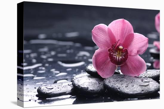 Still Life with Pebble and Macro of Orchid with Water Drops-crystalfoto-Premier Image Canvas