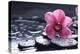 Still Life with Pebble and Macro of Orchid with Water Drops-crystalfoto-Premier Image Canvas