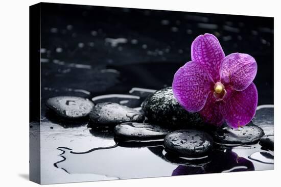 Still Life with Pebble and Orchid with Water Drops-crystalfoto-Premier Image Canvas