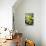 Still Life with Pebble and Orchid-crystalfoto-Premier Image Canvas displayed on a wall