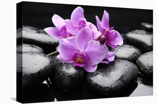 Still Life with Pebble and Orchid-crystalfoto-Premier Image Canvas