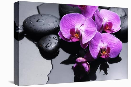 Still Life with Pebbles and Branch Orchid-crystalfoto-Premier Image Canvas