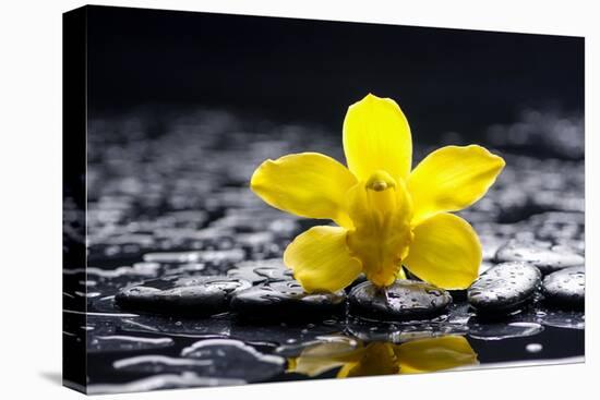 Still Life with Pebbles and Yellow Orchid-crystalfoto-Premier Image Canvas