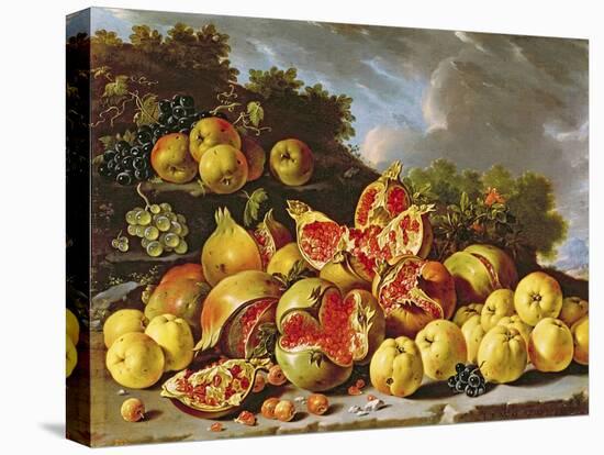 Still Life with Pomegranates, Apples, Cherries and Grapes-Melendez-Premier Image Canvas