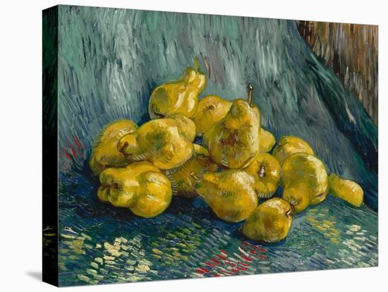 Still Life with Quinces, 1887-1888-Vincent van Gogh-Premier Image Canvas