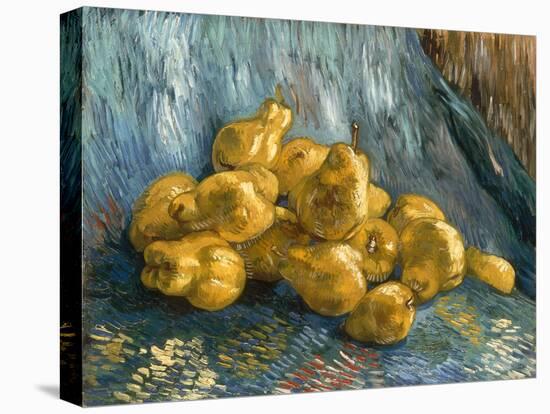 Still-Life With Quinces-Vincent van Gogh-Premier Image Canvas
