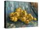 Still-Life With Quinces-Vincent van Gogh-Premier Image Canvas