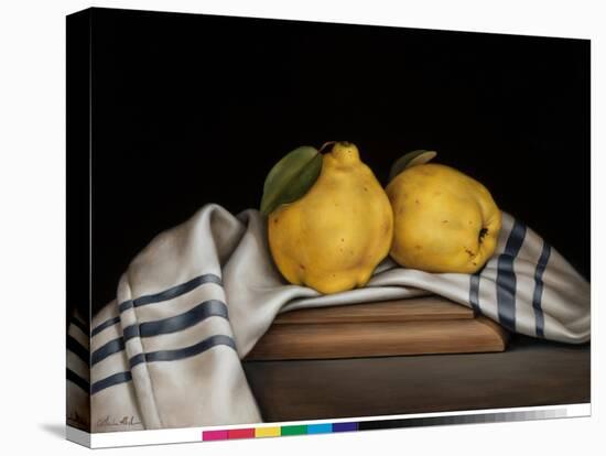 Still Life with Quinces-Catherine Abel-Premier Image Canvas