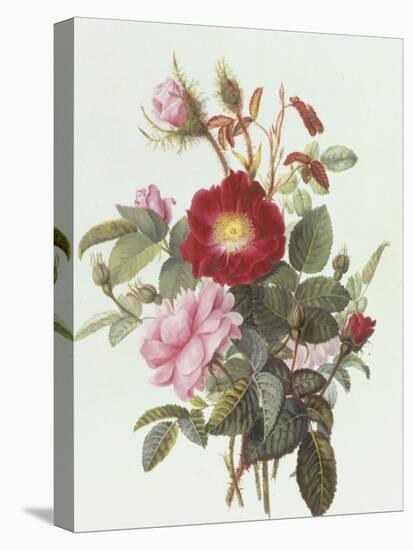 Still Life with Roses-Georgius Jacobus J. van Os-Premier Image Canvas