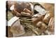 Still Life with Several Types of Bread and Rolls-Eising Studio - Food Photo and Video-Premier Image Canvas