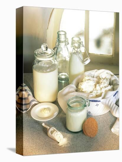 Still Life with Sour Milk Products (Yoghurt, Cream Cheese)-Karl Newedel-Premier Image Canvas