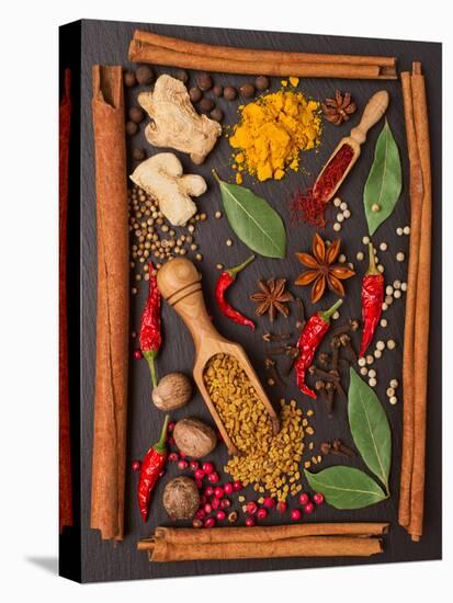 Still Life with Spices and Herbs in the Frame-Andrii Gorulko-Premier Image Canvas