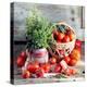 Still Life with Tomatoes and Flowering Basil in a Vase-null-Premier Image Canvas