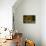 Still Life-Pieter Claesz-Premier Image Canvas displayed on a wall