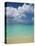 Still Turquoise Sea off Seven Mile Beach, Grand Cayman, Cayman Islands, West Indies-Ruth Tomlinson-Premier Image Canvas