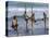 Stilt Fishermen, Weligama, Sri Lanka, Asia-Upperhall Ltd-Premier Image Canvas