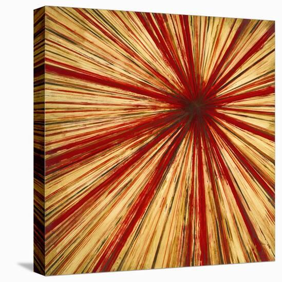 Stimulating 2-Randy Hibberd-Stretched Canvas