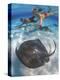 Stingray City, Grand Cayman, Cayman Islands, Caribbean-Greg Johnston-Premier Image Canvas