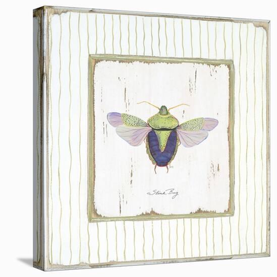 Stink Bug-Jan Cooley-Stretched Canvas