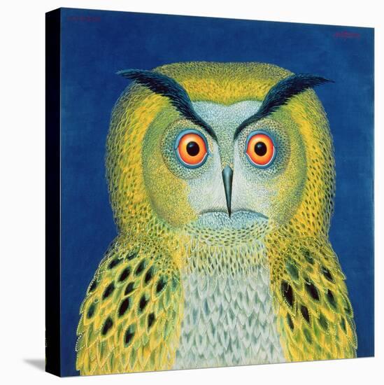 Stock Owl, 1999-Tamas Galambos-Premier Image Canvas