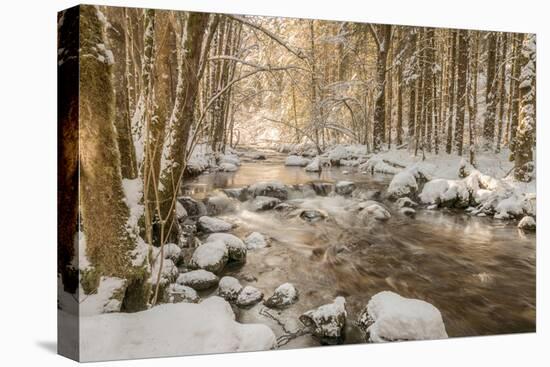 Stolen Beauty-Philippe Sainte-Laudy-Premier Image Canvas